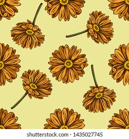 Seamless pattern with hand drawn colored calendula