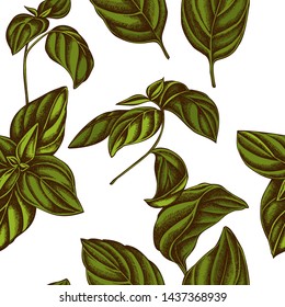 Seamless pattern with hand drawn colored basil