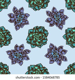 Seamless pattern with hand drawn colored succulent echeveria