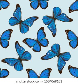 Seamless pattern with hand drawn colored morpho menelaus, morpho rhetenor cacica