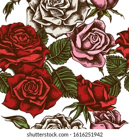 Seamless pattern with hand drawn colored roses