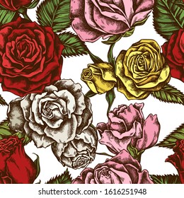 Seamless pattern with hand drawn colored roses