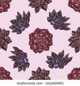 Seamless pattern with hand drawn colored succulent echeveria, succulent echeveria, succulent