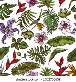 Patrón sin soldadura con monstera coloreado a mano, hojas de palma de plátano, estrelitzia, Heliconia, hojas de palma tropicales, orquídea