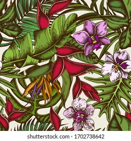 Seamless pattern with hand drawn colored monstera, banana palm leaves, strelitzia, heliconia, tropical palm leaves, orchid