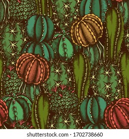 Seamless pattern with hand drawn colored cactus