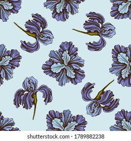 Seamless pattern with hand drawn colored iris