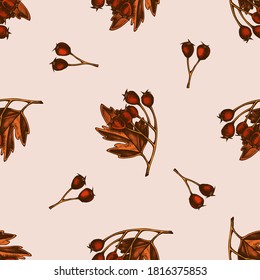 Seamless pattern with hand drawn colored hawthorn
