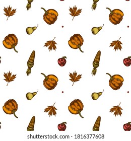 Seamless pattern with hand drawn colored pumpkin, pears, corn, apples, rowan, maple