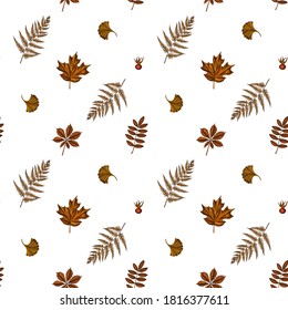 Seamless pattern with hand drawn colored fern, dog rose, rowan, ginkgo, maple, horse chestnut