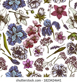 Seamless pattern with hand drawn colored anemone, lavender, rosemary everlasting, phalaenopsis, lily, iris