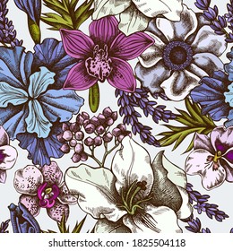 Seamless pattern with hand drawn colored anemone, lavender, rosemary everlasting, phalaenopsis, lily, iris