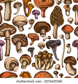 Seamless pattern with hand drawn colored oyster mushroom, champignon, honey agaric, shiitake, porcini, morel mushroom, chanterelle, aspen mushroom, enoki , shimeji, black chanterelle, red pine