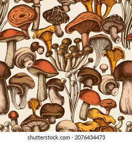 Seamless pattern with hand drawn colored oyster mushroom, champignon, honey agaric, shiitake, porcini, chanterelle, aspen mushroom, enoki , shimeji, red pine mushroom, portobello