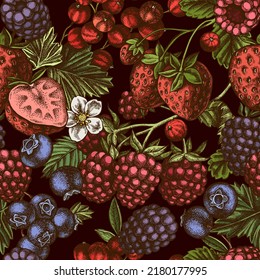 Seamless pattern with hand drawn colored strawberry, blueberry, red currant, raspberry, blackberry