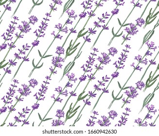 Seamless pattern with hand drawn colorful lavender flowers. Vector illustration in retro style