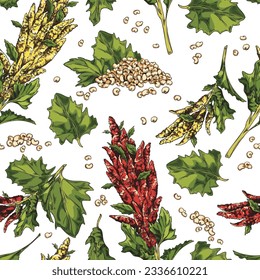 Seamless pattern with hand drawn colorful quinoa plants and grains sketch style, vector illustration on white background. Decorative design for wrapping and packaging, natural organic product