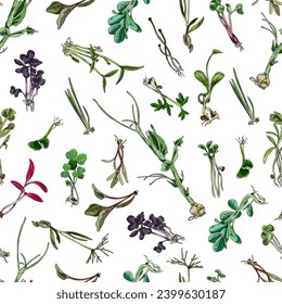 Seamless pattern with hand drawn colorful micro-green sketch style, vector illustration on white background. Decorative design for wrapping and packaging, natural organic plants