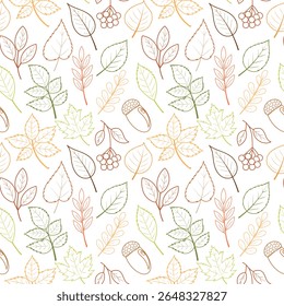 Padrão sem costura com mão desenhado colorido folhas de outono, bagas e bolotas, rabiscos. Coleção de bordo, carvalho, bétula, rowan, castanheiro. Padrão vetorial do contorno da folhagem.