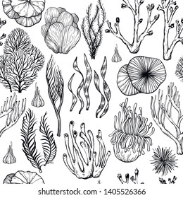 Seamless pattern with hand drawn corals, sea sponges, living organisms, vector illustration. Black and white