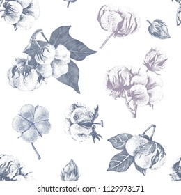 Seamless pattern with hand drawn cotton