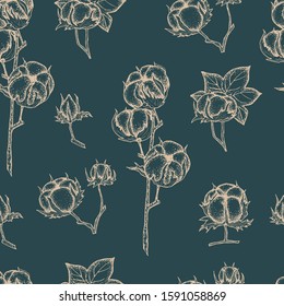 Seamless pattern with hand drawn cotton plant ,sketch style. Vintage vector illustration. Design template. Drawn with ink. Engraving style. Cotton illustration.