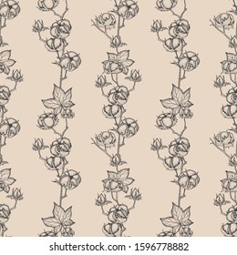 Seamless pattern with hand drawn cotton plant ,sketch style. Vintage vector illustration. Design template. Drawn with ink. Engraving style. Cotton illustration.