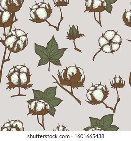 Seamless pattern with hand drawn cotton plant ,sketch style. Vintage vector illustration. Design template. Drawn with ink. Engraving style. Cotton illustration.