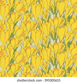 Seamless pattern with hand drawn crocus spring flowers. Vector illustration.