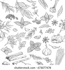 Seamless pattern with hand drawn culinary herbs and spices, vector illustration