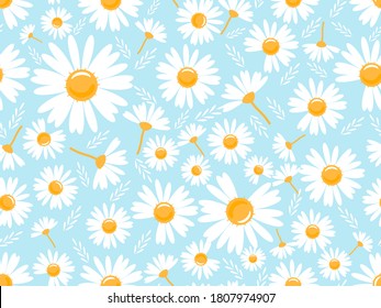 Seamless pattern with hand drawn daisy flower on a blue background vector illustration.