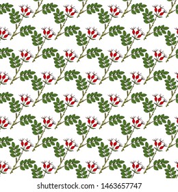 Seamless pattern with hand drawn dog rose. Vector herbal background