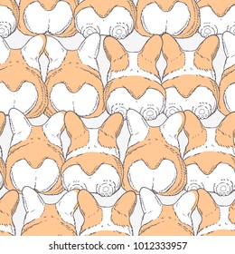 Seamless pattern with hand drawn dogs breed welsh corgi pembroke. Cartoon background. Vector illustration