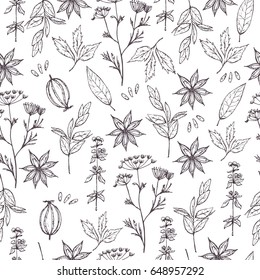 Seamless pattern with hand drawn dry herbs. Sketch of anise with flowers and with leaves. Vector stock illustration. Wrapping paper. 