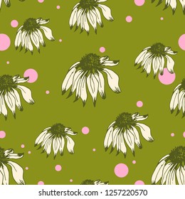 Seamless pattern with hand drawn echinacea flowers