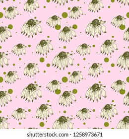 Seamless pattern with hand drawn echinacea flowers and small circles