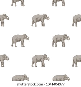 Seamless pattern with hand drawn elephant, vector illustration