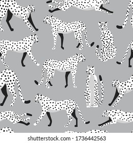 Seamless pattern with hand drawn exotic big cat white cheetahs, on light gray background. Colorful flat vector illustration