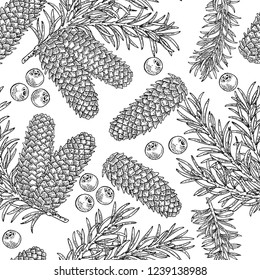 Seamless pattern with hand drawn fir cones, branchesand juniper berries. Vector illustration engraved. Design for Christmas greeting cards and packaging.