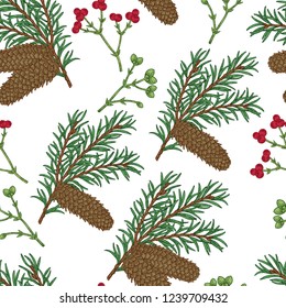 Seamless pattern with hand drawn fir cones and branches. Vector illustration engraved. Design for Christmas greeting cards and packaging.