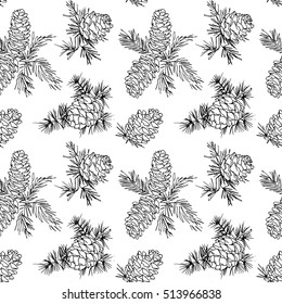 Seamless pattern with hand drawn fir cones