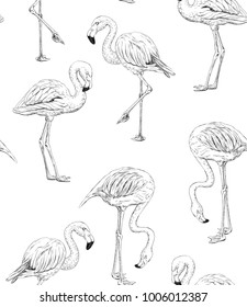 Seamless pattern with hand drawn flamingos. Element for design.