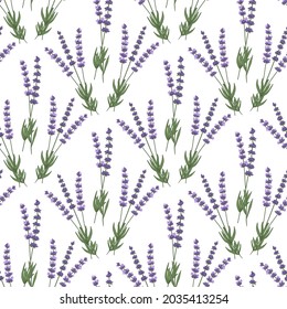 Seamless pattern with hand drawn floral elements in engraving style - fragrant lavender. Vector illustration.