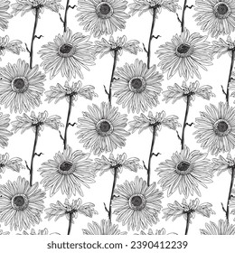 Seamless pattern of Hand Drawn floral plants camomile flowers. Botanical greenery chamomile flower illustration vector. Line herb flowers daisy. 
