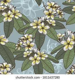 Seamless pattern with hand drawn flowers and leaves of plumeria on a dark background. Frangipani flowers drawn on paper with pen and ink, converted into a vector image. Exotic tropical plant.