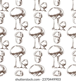 Seamless pattern of hand drawn forest champignon mushrooms. Vector sketch icon. Vintage drawing. Eco food vintage vector illustration. Sketch illustration for print, web, mobile and infographics.