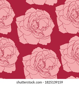 Seamless pattern with hand drawn garden rose. Vector illustration. 