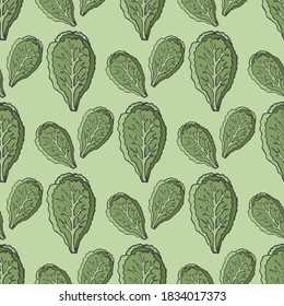 Seamless pattern with hand drawn green salad. Light background for your kitchen. Vegetable background. Organic food. Vector illustration.
