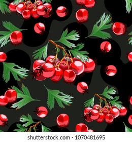Seamless pattern with hand drawn hawthorn brunches.