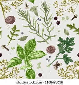 Seamless pattern with hand drawn herbs and spices . Vector illustration in vintage style